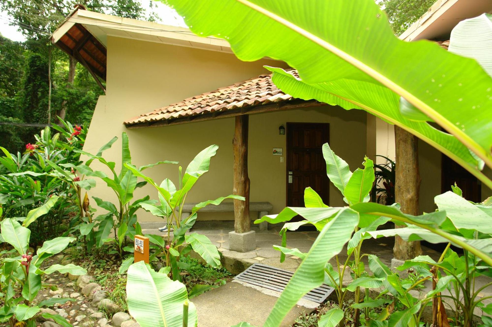Superior Twin Room (800 mts from the beach)